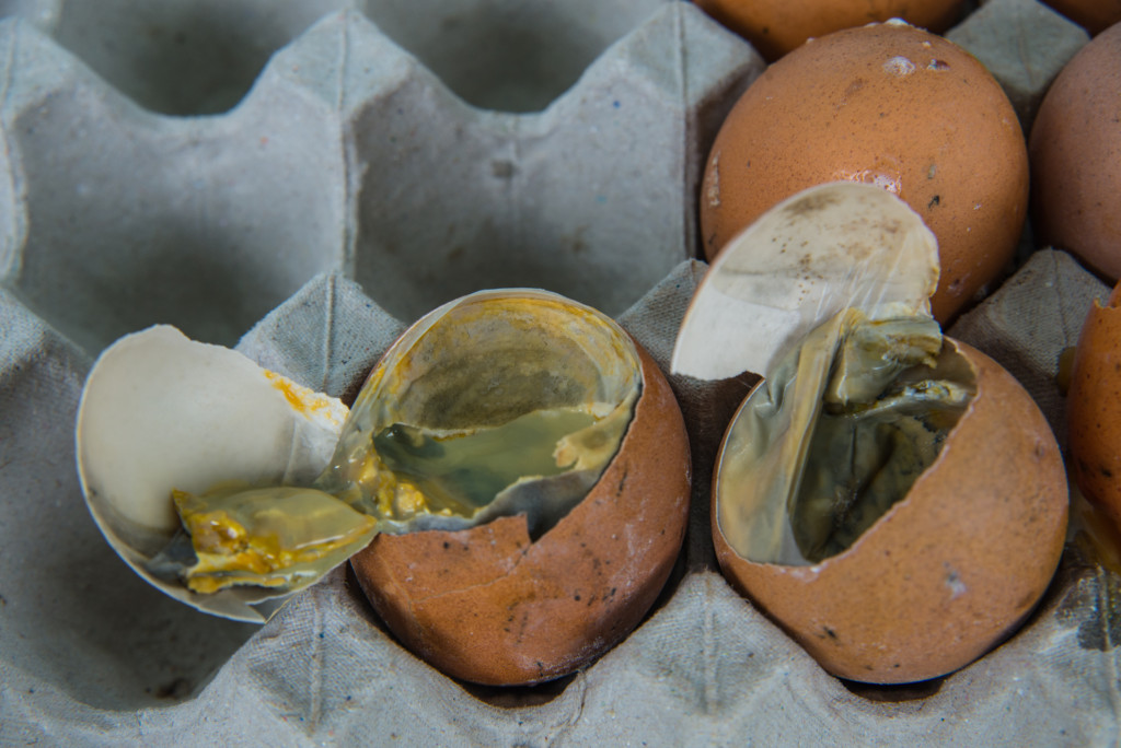 rotten egg smell coming from kitchen sink