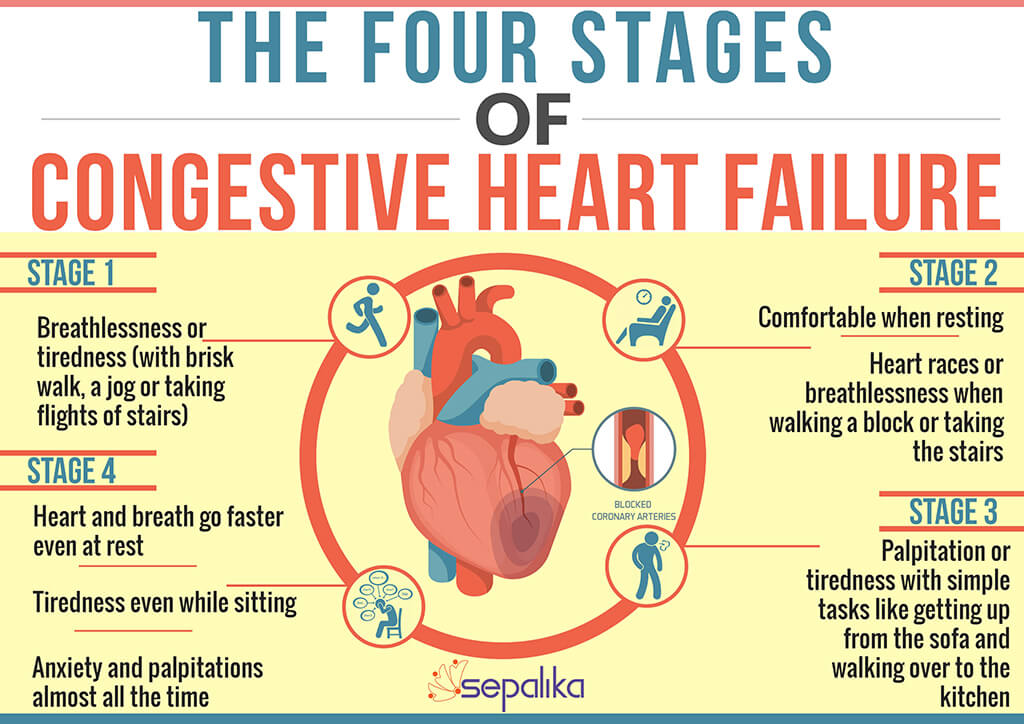 Does Ejection Fraction Decrease with Acute Heart Failure? — Scary Symptoms