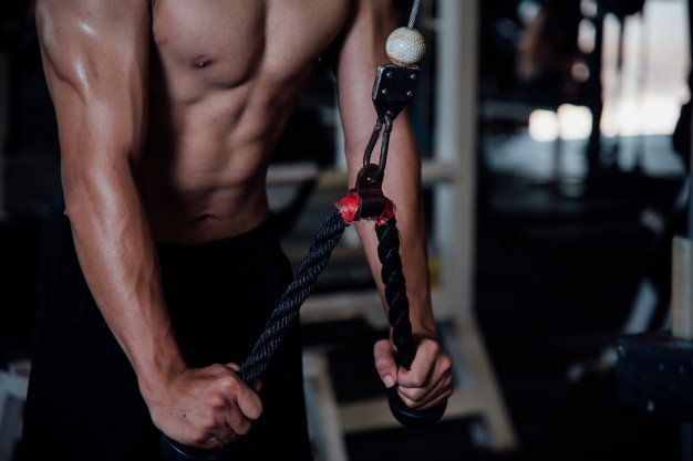 Cause of Muscle Twitching in Arms: Biceps & Triceps » Scary Symptoms