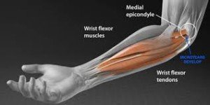 How to Do a Bench Press with Golfer’s Elbow » Scary Symptoms