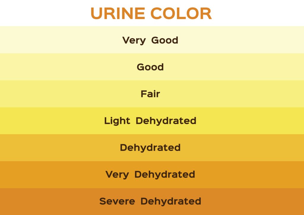 orange-urine-vs-dark-yellow-telling-the-difference-scary-symptoms