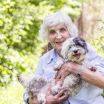 How Safe Are Hip & Knee Replacements for People Over 80?
