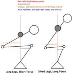 Women, Short Torso, Long Femur, Sucky Squats?