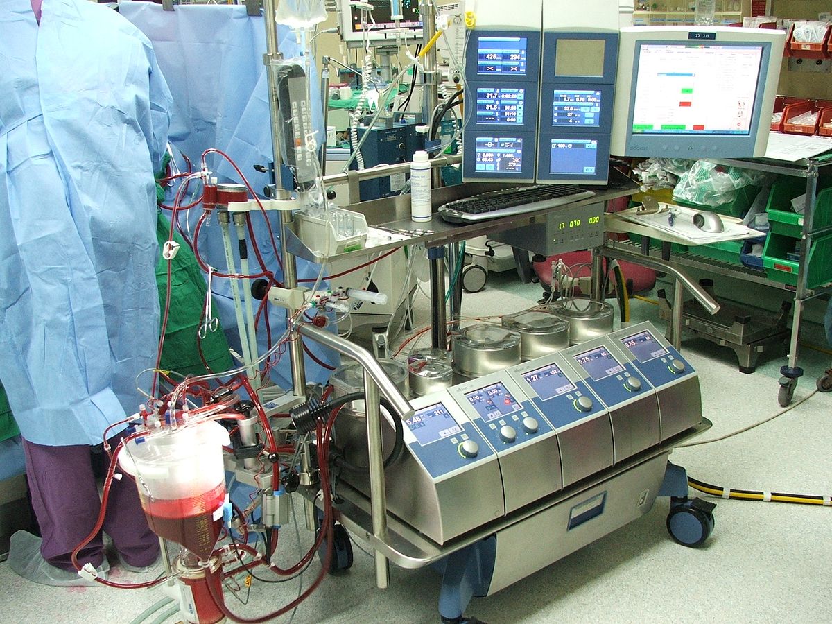 Does The Heart Lung Machine Affect Sense Of Taste Scary Symptoms Does The Heart Lung Machine Affect Sense Of Taste Scary Symptoms