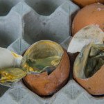 Why Your Burps Smell Like Rotten Eggs: Doctor Explains