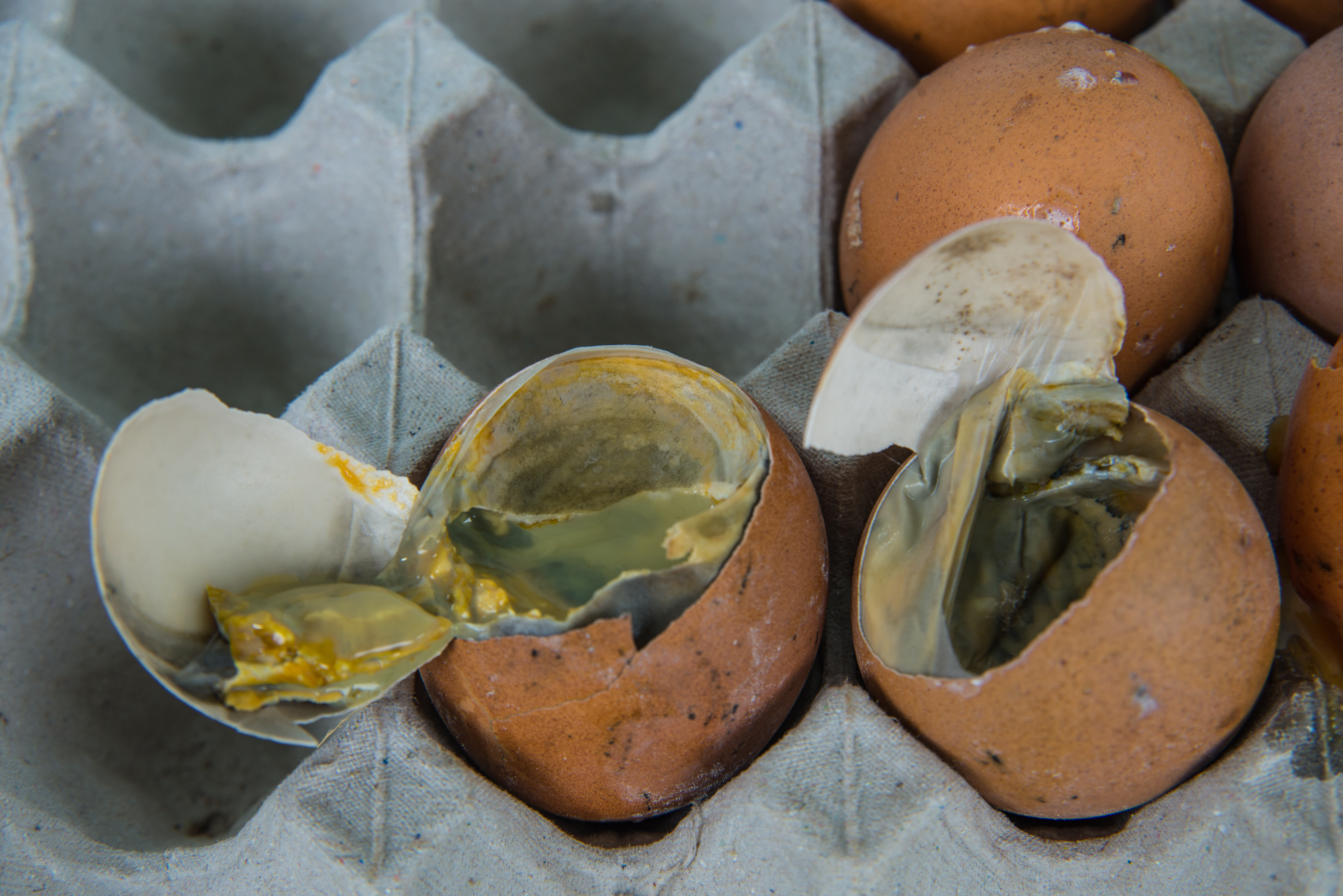 Why Your Burps Smell Like Rotten Eggs: Doctor Explains