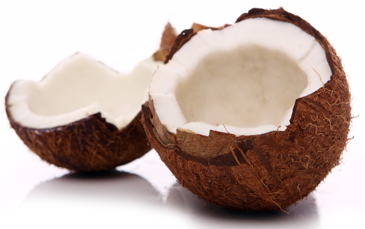 Coconut Saturated Fats vs. Meat Sat Fats » Scary Symptoms