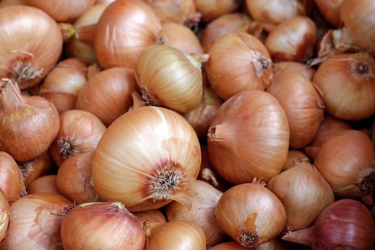 Why Would Someone Smell Like Onions