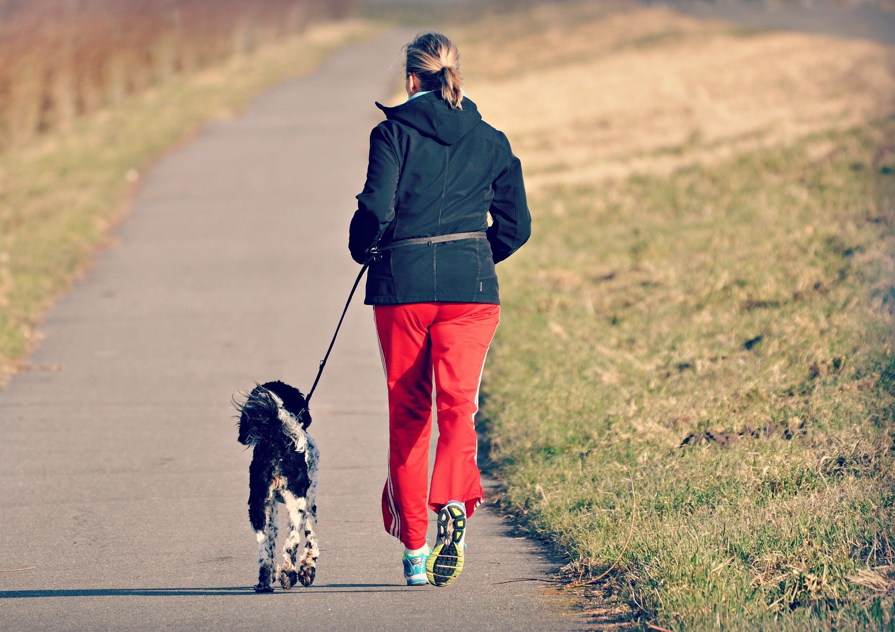 Can Running Prevent Knee Replacement Surgery in Old Age?