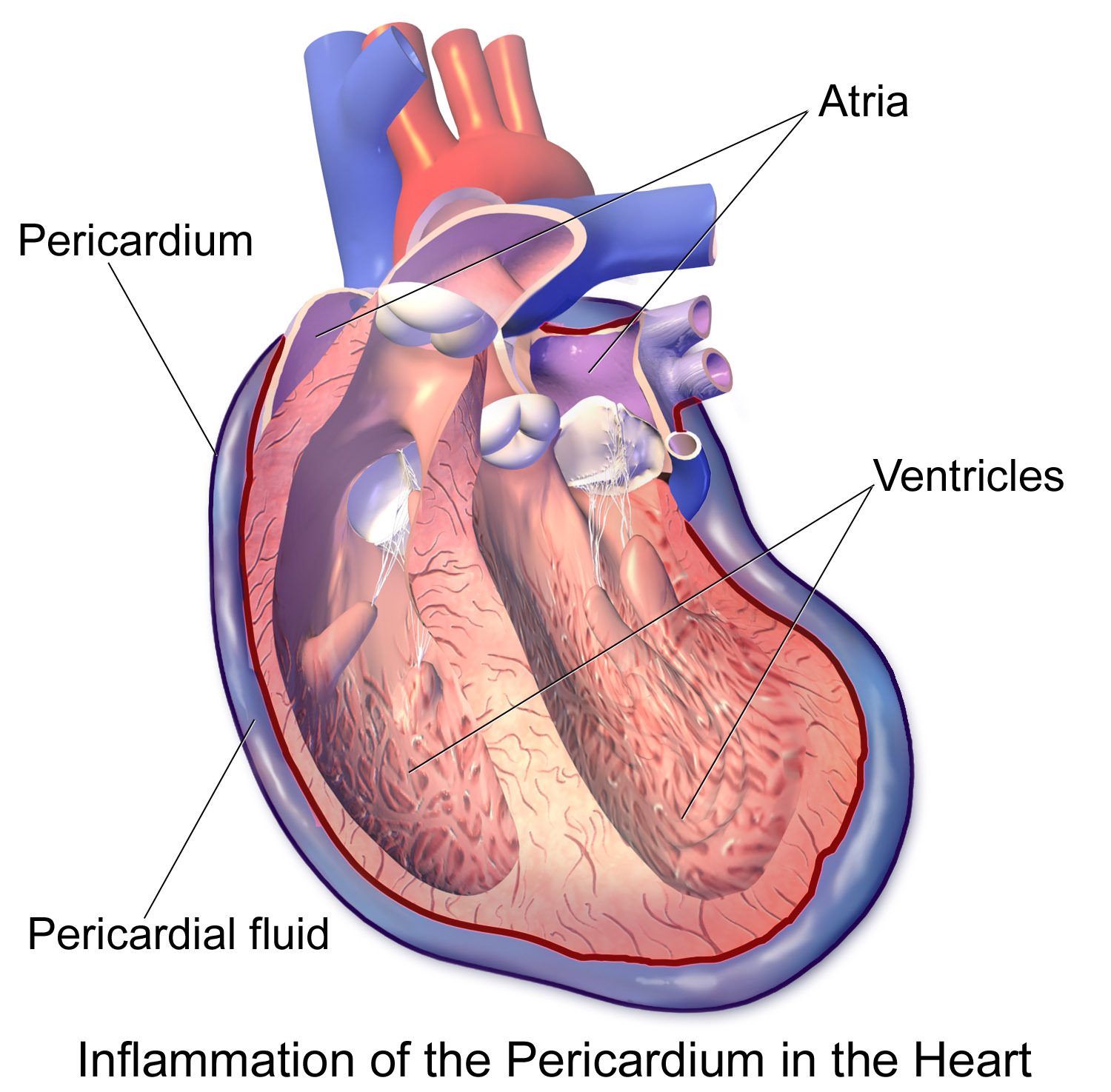 sudden-sharp-chest-pains-on-left-side-causes-scary-symptoms