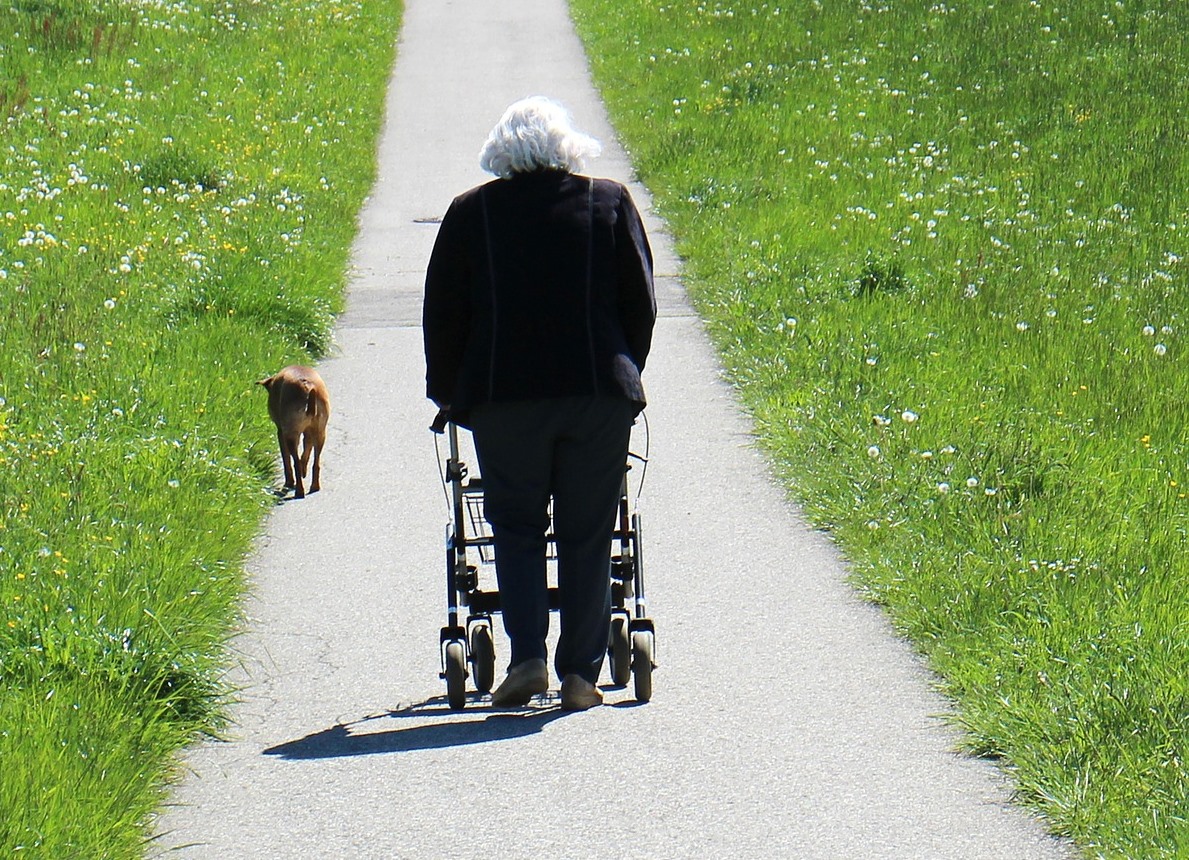 Can Elderly with Broken Hip Recover without Physical Therapy?