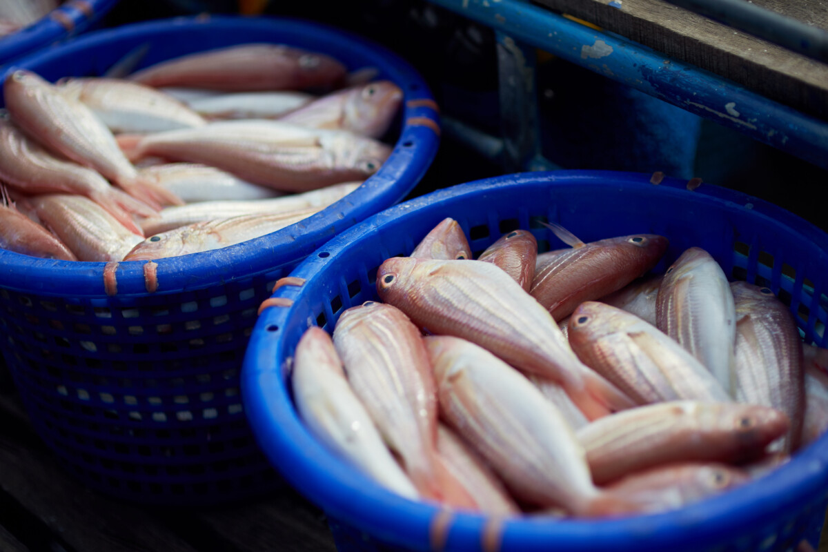 Can Cancer Make Your Urine Smell Fishy? » Scary Symptoms