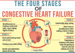 does low ejection fraction mean heart failure