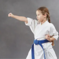 Can Martial Arts Encourage Bullying?