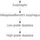 How Much GERD Causes Barrett’s Esophagus?