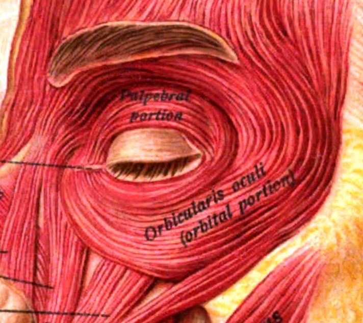 Muscle Twitching BELOW The Eye What This Means Scary Symptoms