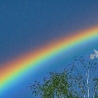 As an Autistic I Love the Phrase “On the Spectrum”