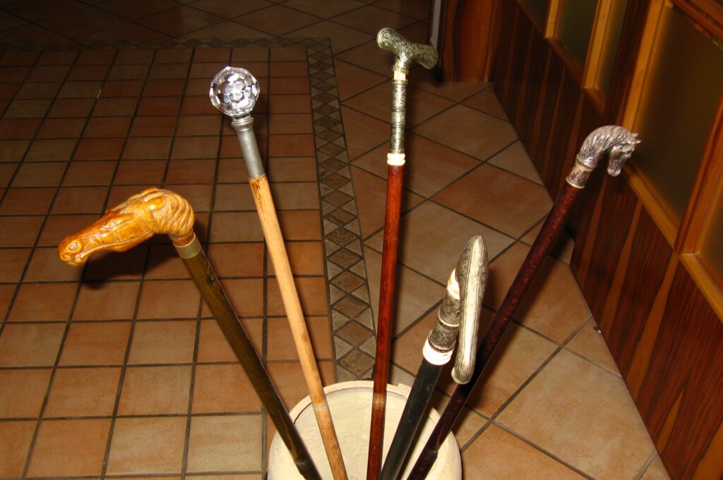 Five Tips for Choosing a Cane for Multiple Sclerosis » Scary Symptoms