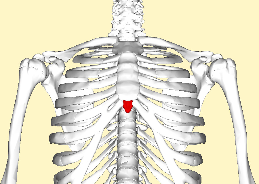 Xiphoid Process Lump Symptoms Modernhealcom