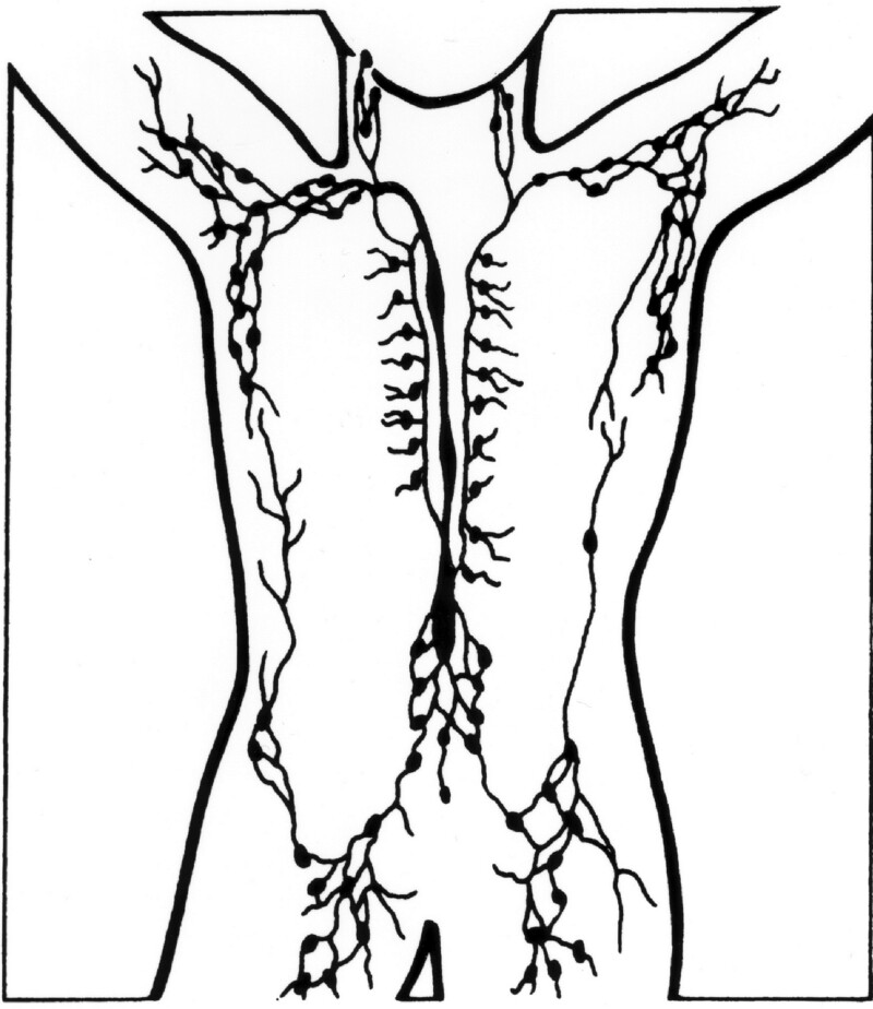 Swollen Lymph Nodes In Abdomen Area